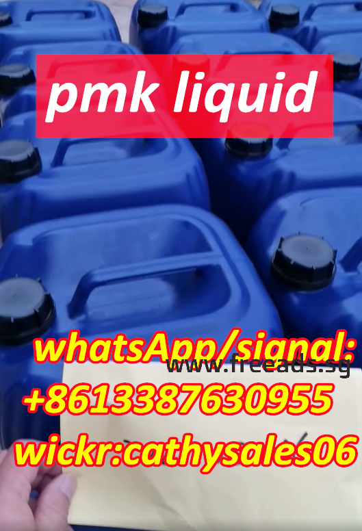 PMK replacement New PMK ethyl glycidate Oil,Cas 28578-16-7 whatsApp:+8613387630955