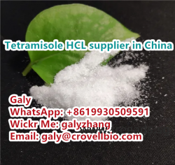 How to buy Tetramisole hydrochloride CAS:5086-74-8 whatsapp:+86 19930509591