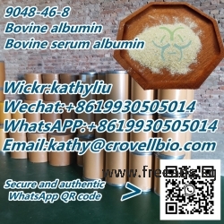 CAS 9048-46-8 Bovine albumin/Bovine serum albumin with factory price 8619930505014