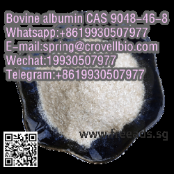 Bovine albumin CAS 9048-46-8 with best price and fast delivery +8619930507977