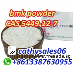 fast delivery with 5 days NEW BMK liquid CAS 20320-59-6 Diethyl (phenylacetyl) Malonate bmk supplier to NL,GE,UK,PL